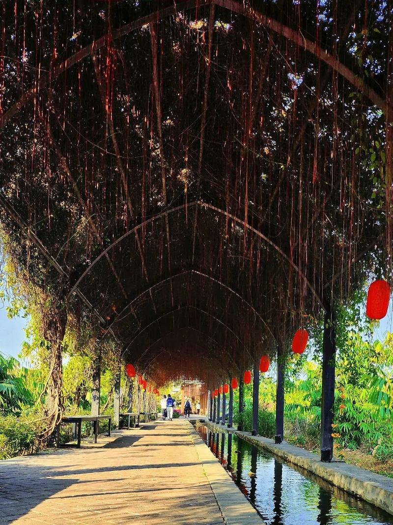 攀枝花周边旅游景点大全