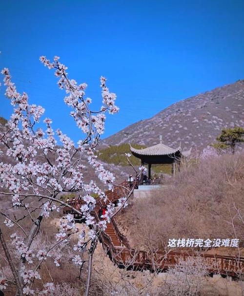 清明节北京郊区自驾游