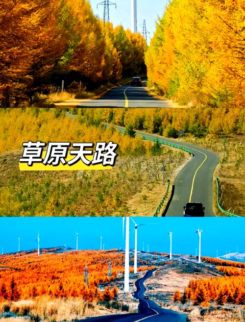 张家口附近自驾游一天