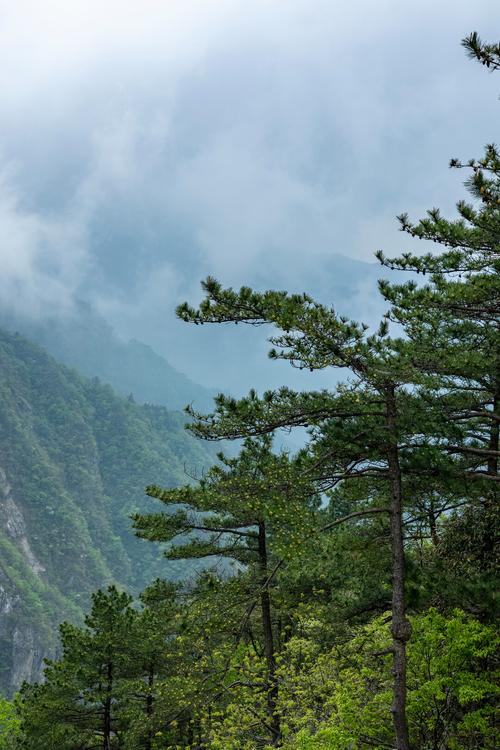 通山九宫山自驾游攻略