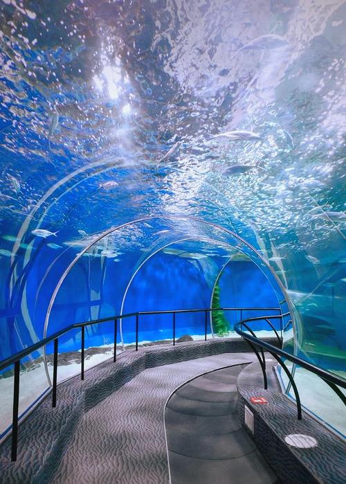 上海海洋水族馆自驾游