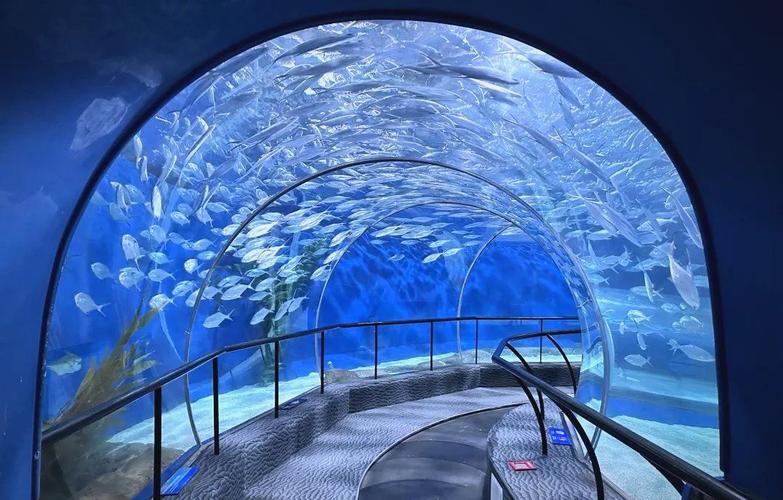 上海海洋水族馆自驾游