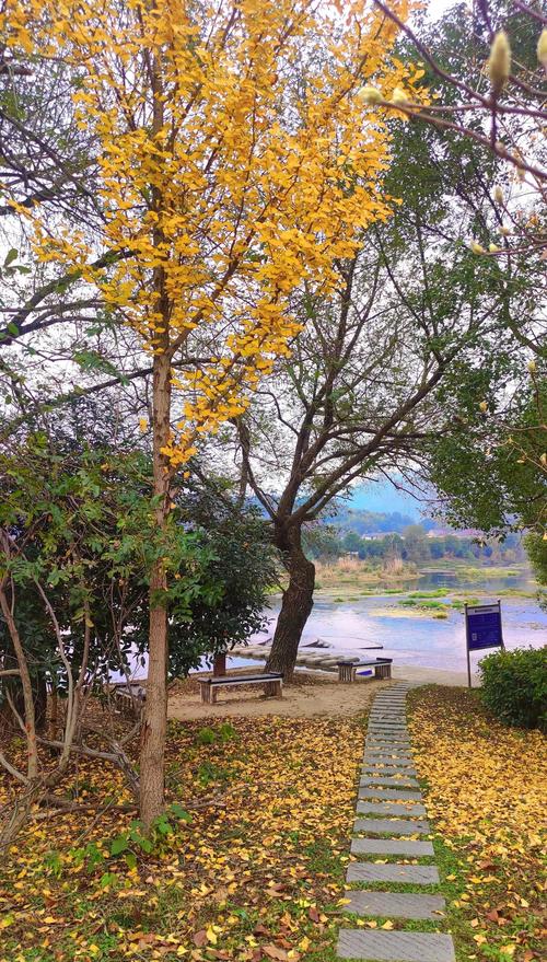 杭州周边一小时自驾游