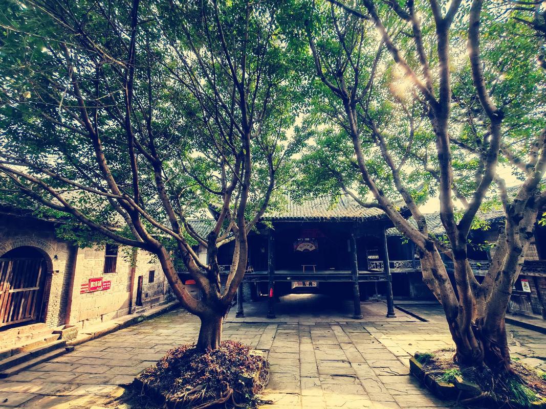 绵阳三台有什么旅游景点