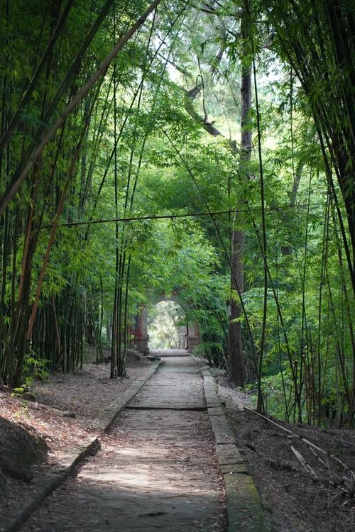 绵阳三台有什么旅游景点