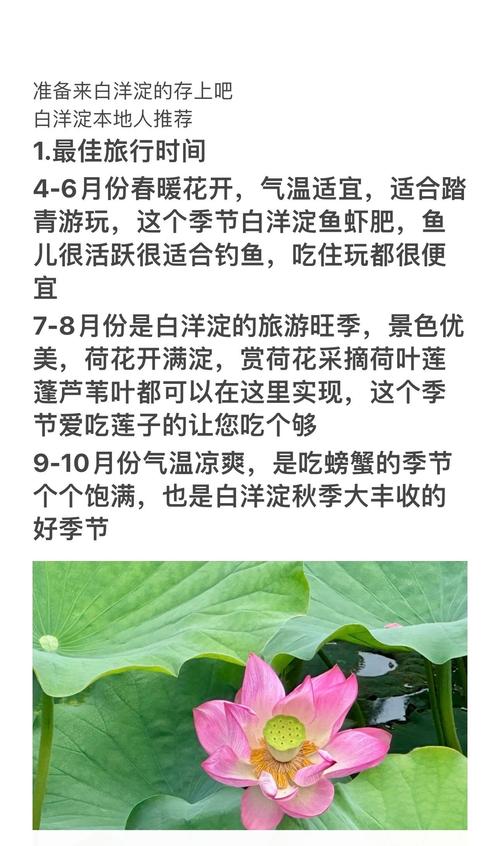 河北白洋淀旅游景点简介