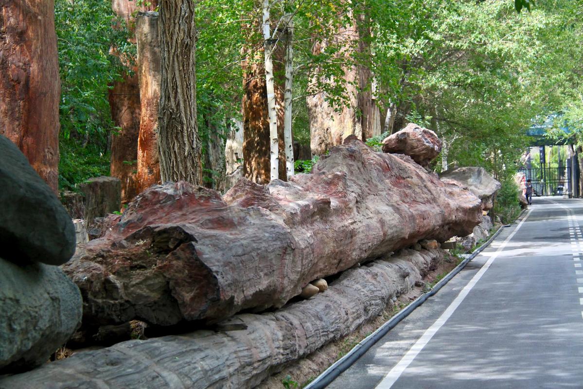 乌鲁木齐野马国际酒店