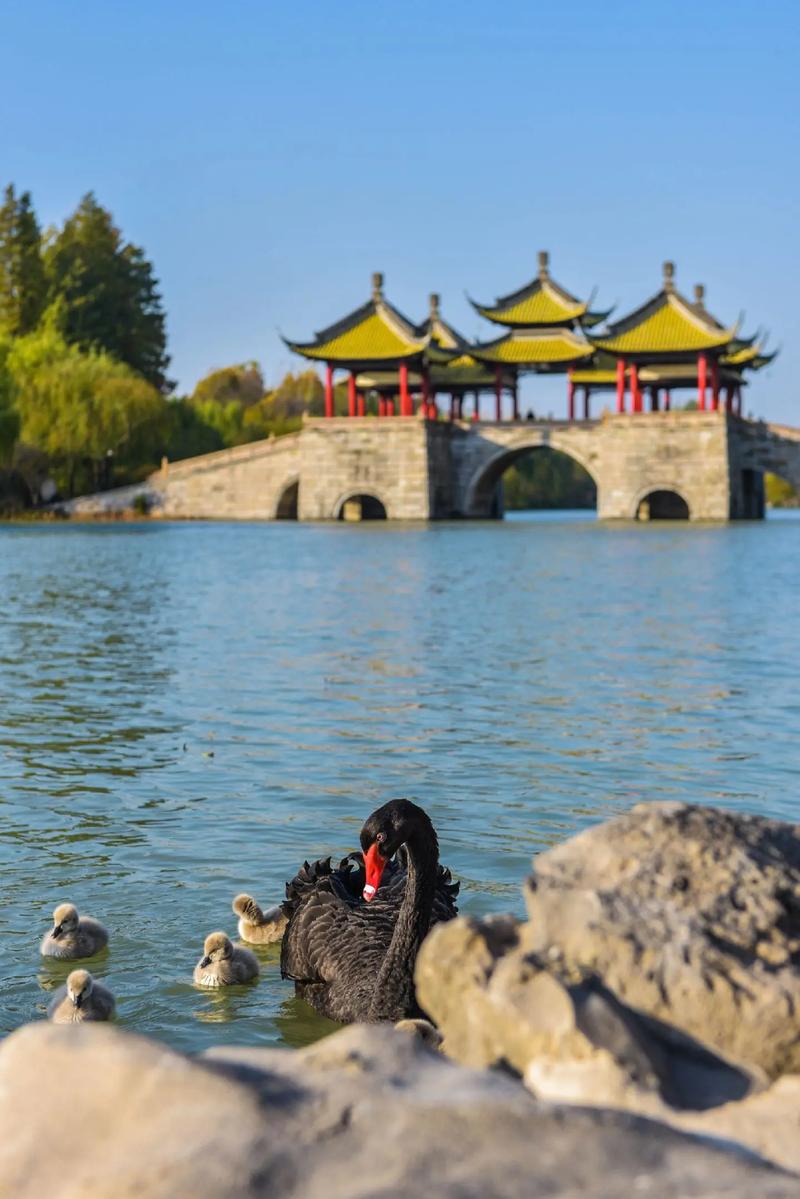 扬州市旅游景点大全排名