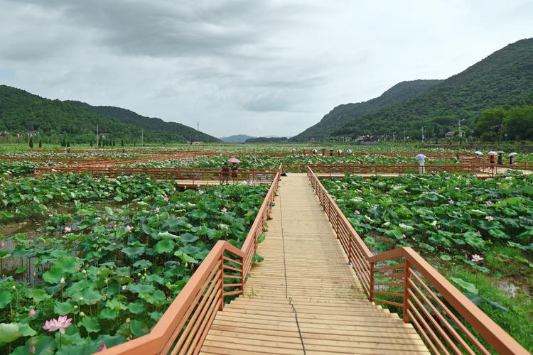 安庆杨桥周边的旅游景点