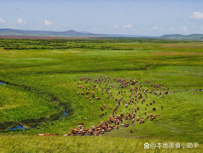 长春内蒙古自驾游攻略