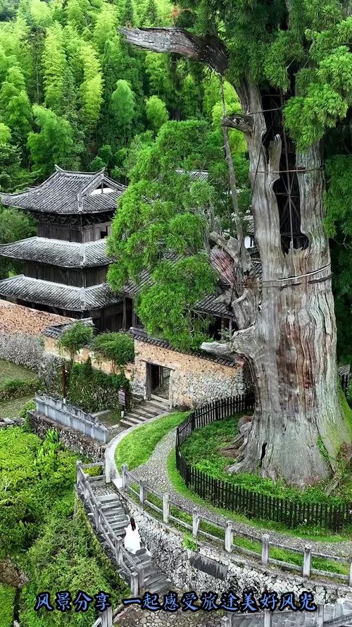 浙江畲族自治县旅游景点