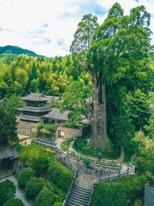 丽水市旅游景点大全排名