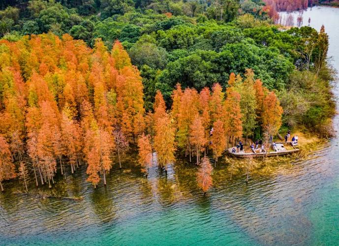 中山五桂山免费游览景点