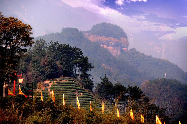 武义有什么好玩的景点吗