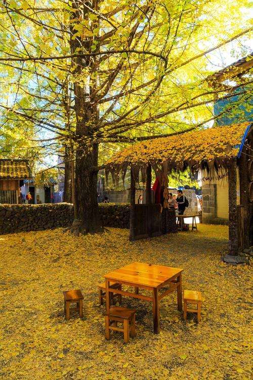 云南腾冲最值得去的景点