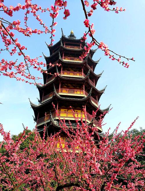 常州风景区主要哪些景点