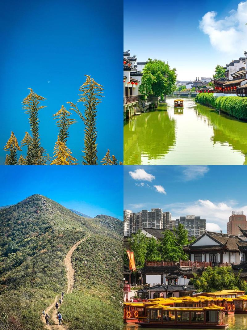 江苏适合老人旅游的景点