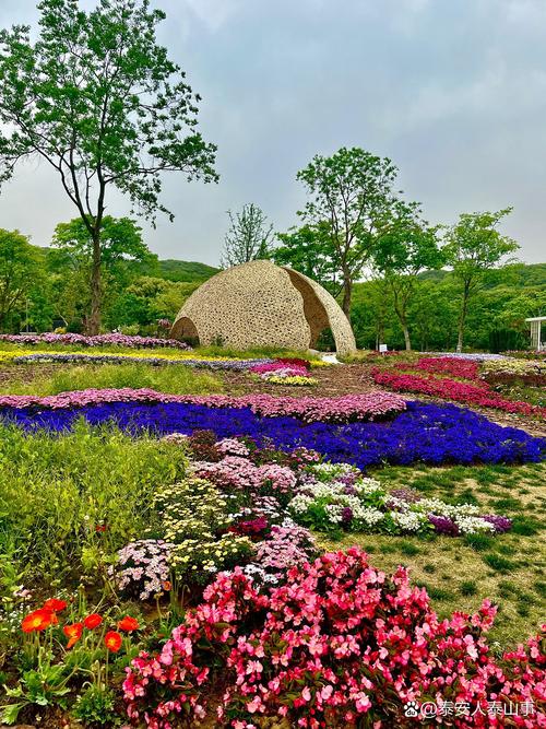 江苏适合老人旅游的景点