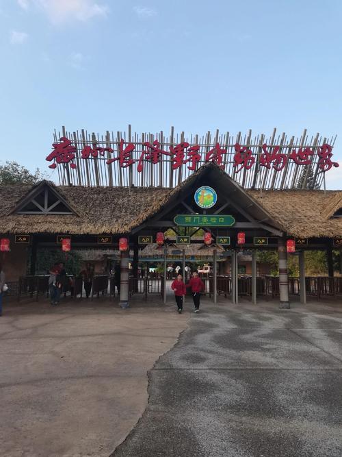 广州长隆动物园自驾游