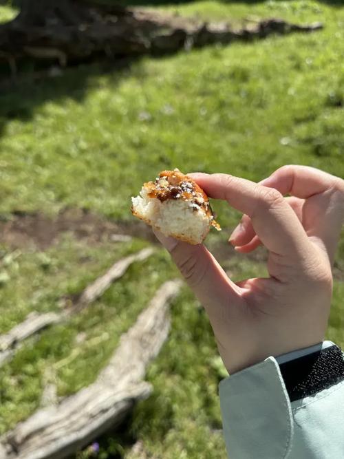 自驾游8天带什么吃的