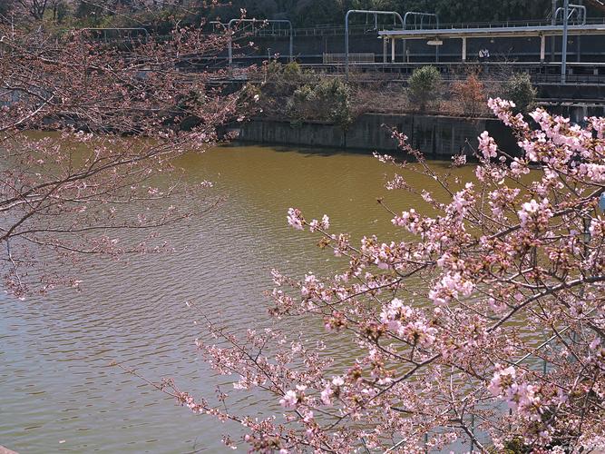 杭州出发自驾游桃花岛