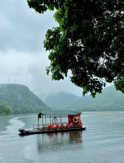 杭州出发自驾游桃花岛