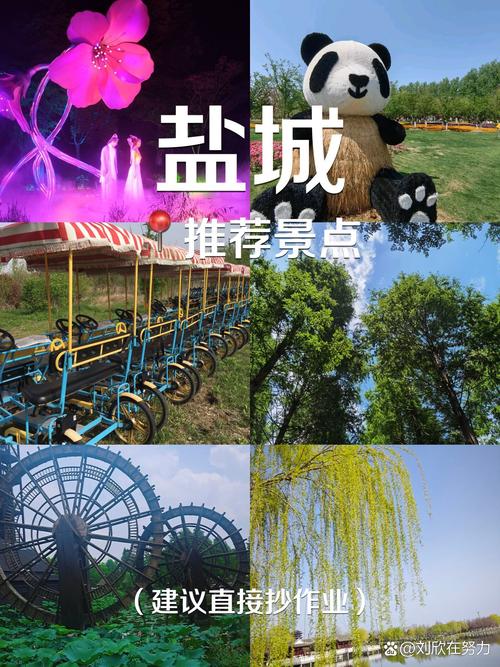 盐城自驾一日游景点大全