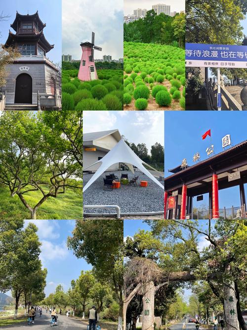 马鞍山森林公园自驾游