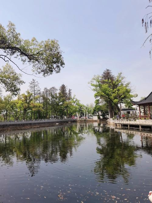 马鞍山森林公园自驾游