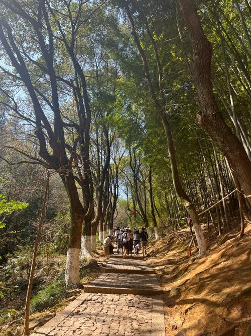 江浙沪自驾游登山景点