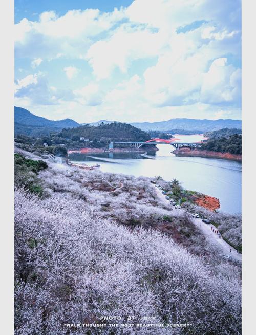 广州出发看雪的旅游景点