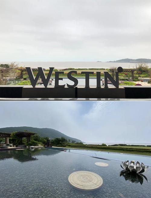 朱家尖码头附近的酒店