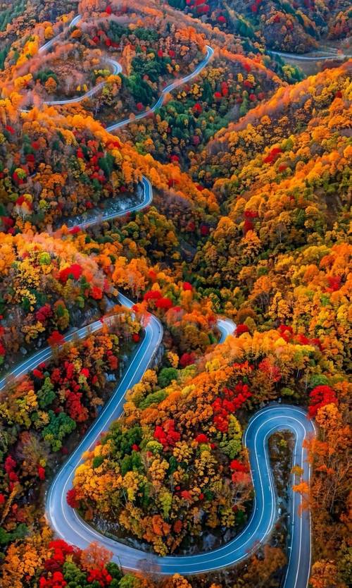 从巴中出发自驾游路线