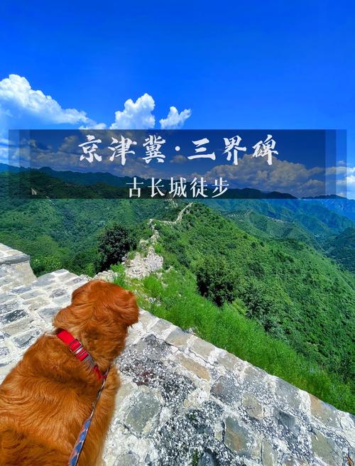 3月份天津周边自驾游