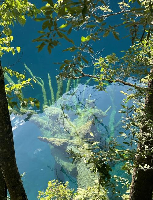 九寨沟景区可以自驾游