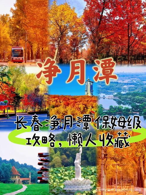 净月自驾游门票多少钱