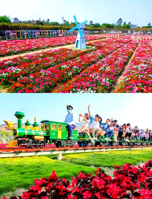 高明盈香生态园自驾游