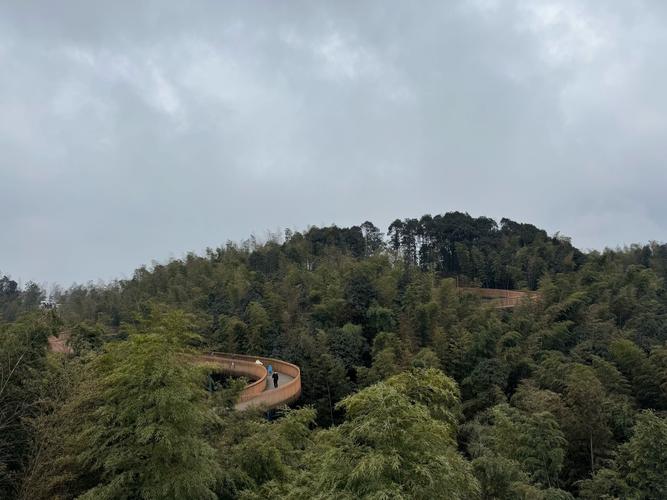 自驾游蜀南竹海旅行社