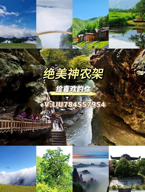 神农架3日自驾游攻略