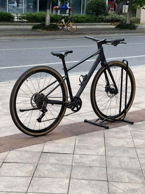 自行车自驾游什么车好