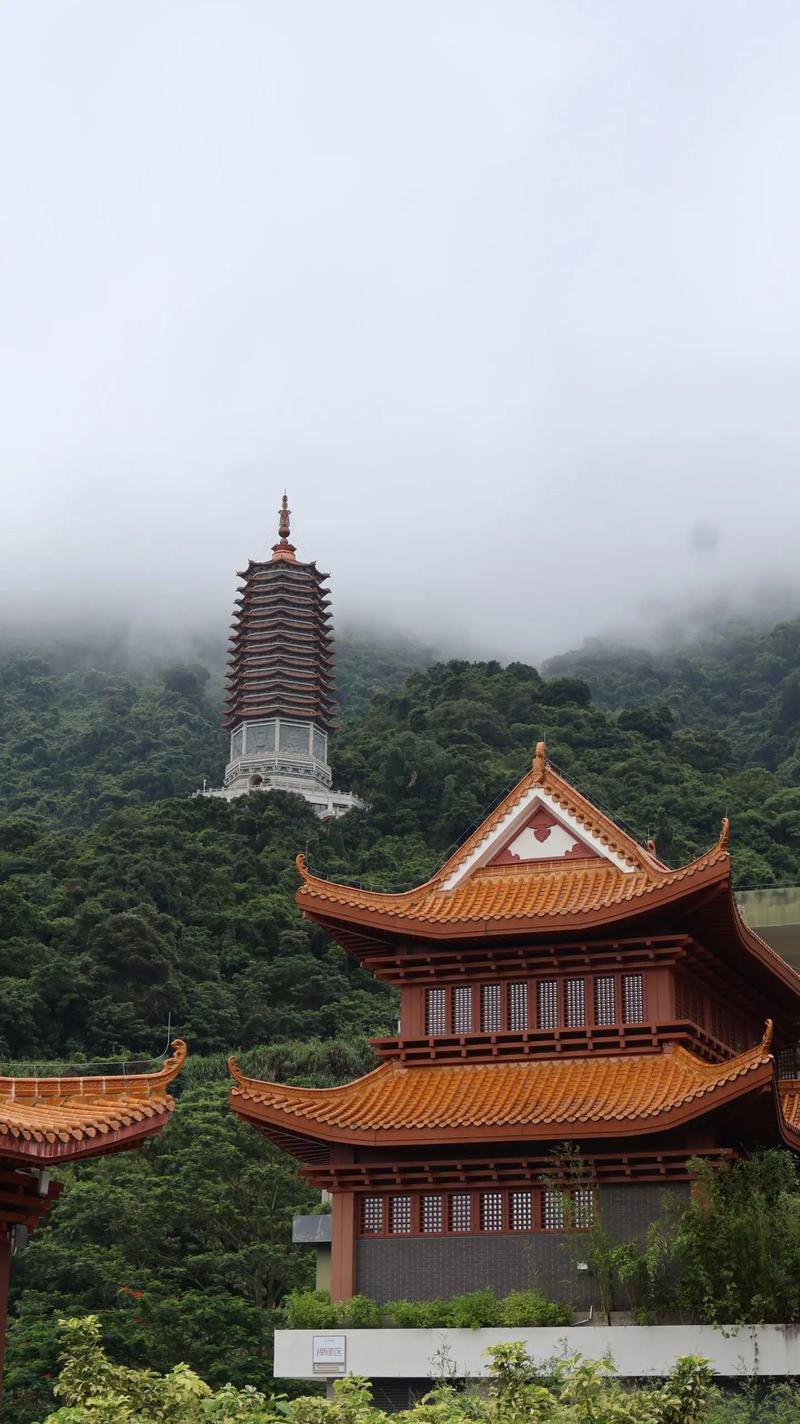 深圳65岁以上免费景点