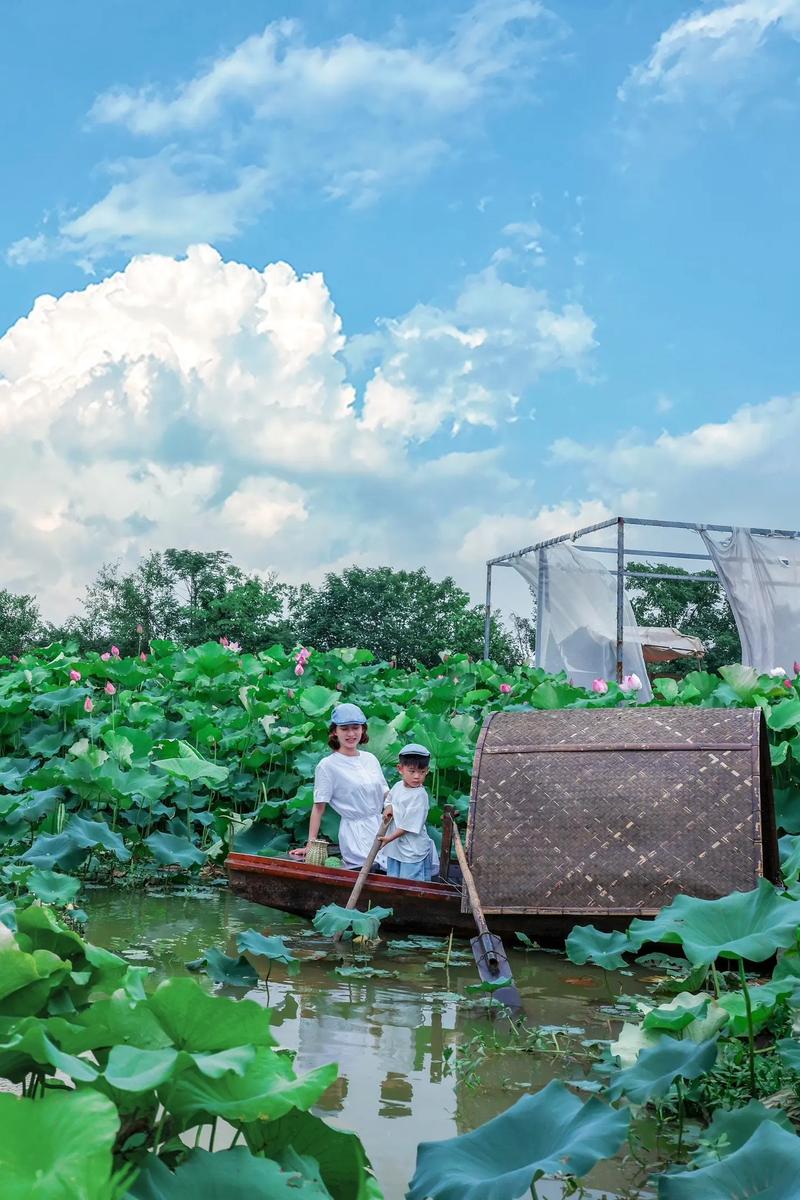 武汉市周边采摘自驾游