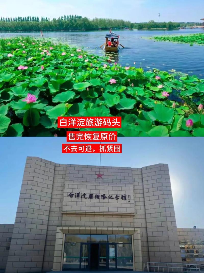 1日白洋淀自驾游攻略
