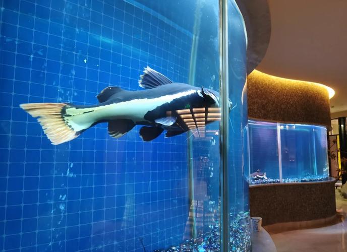 长沙碧涛阁水世界酒店