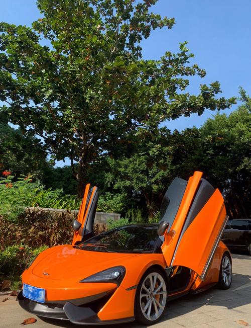 在三亚可以租车自驾游