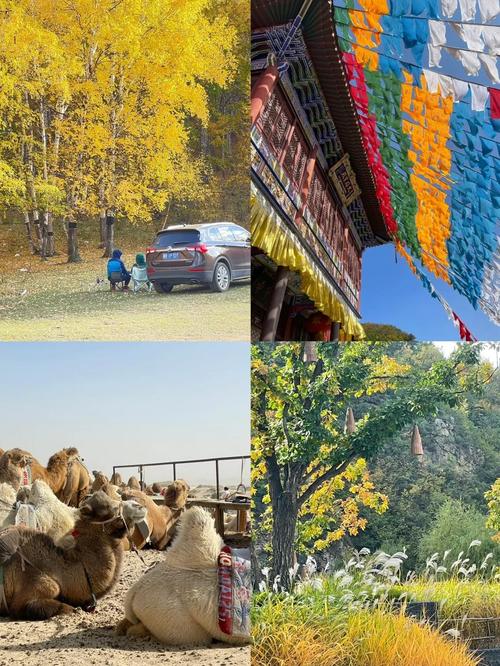 从唐山出发一天自驾游