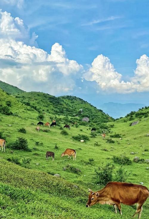 广东省周边自驾游纯玩