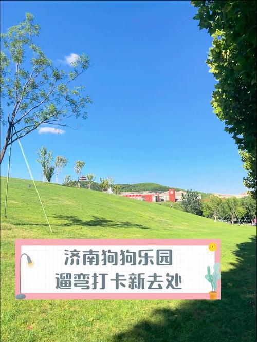 济南自驾游带狗去哪玩