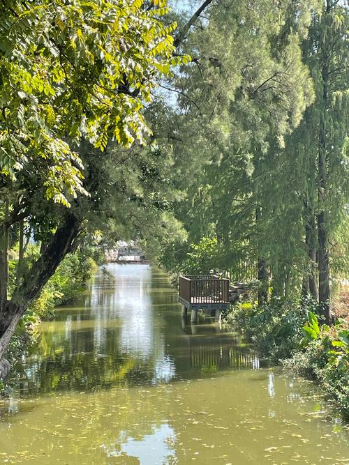 佛山里水贤鲁岛自驾游