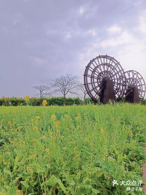 佛山里水贤鲁岛自驾游